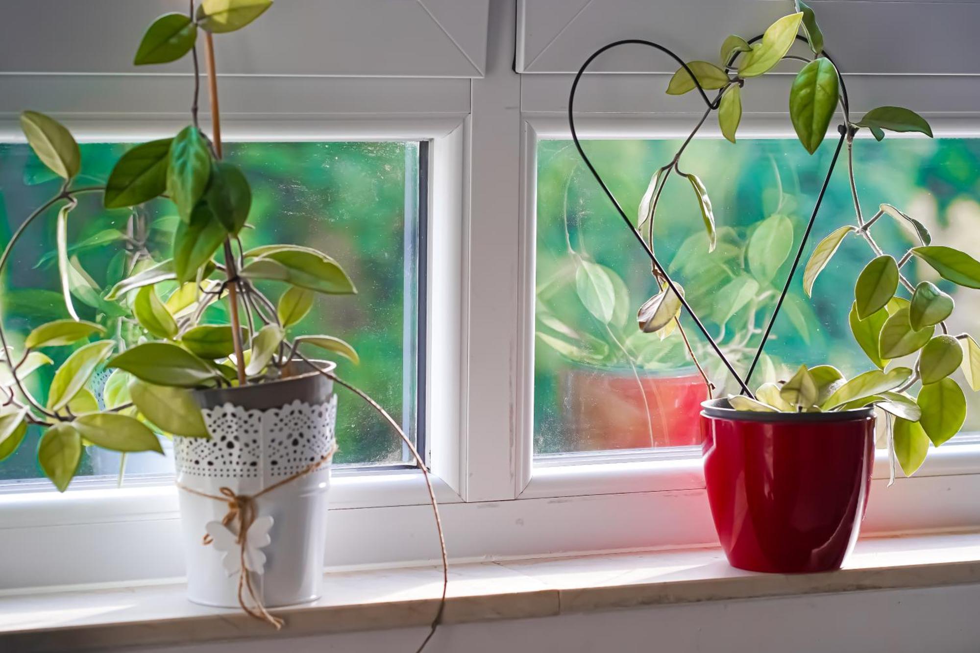 Moderne 3-Zimmer-Wohnung Im Herzen Von Darmstadt - Zentrale Lage, Komfort & Wlan Bagian luar foto